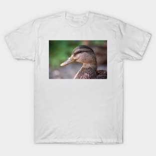 Mallard Profile T-Shirt
